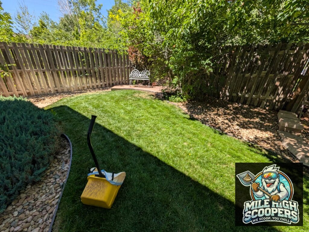 dog waste removal castle rock